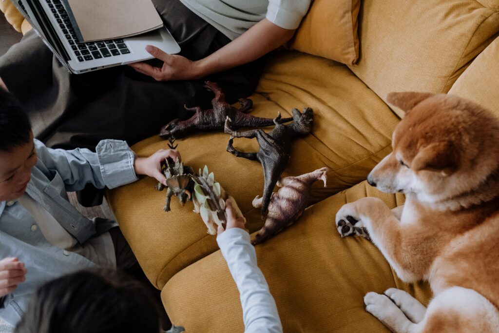 les 12 meilleures marques de jouets pour chien en 2023